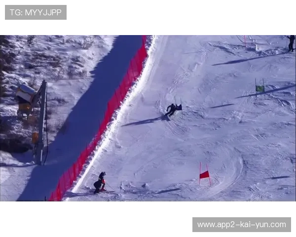 高山滑雪的“回转”：旗门杆的触碰容忍度